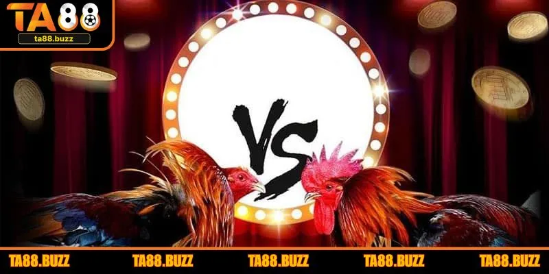 “Bỏ túi” một vài loại hình cược nên trải nghiệm tại TA88